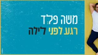 משה פלד - "רגע לפני לילה"