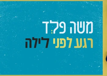 משה פלד - "רגע לפני לילה"