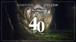 אהרן בירק - "40 יום"
