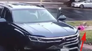 תיעוד מפחיד: התינוקת ניצלה ברגע האחרון מהתן הרעב