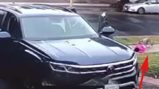 תיעוד מפחיד: התינוקת ניצלה ברגע האחרון מהתן הרעב