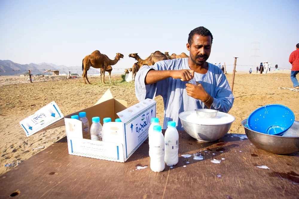 מתכננים לנחות באבו דאבי? אלו אתגרי הכשרות שמחכים לכם