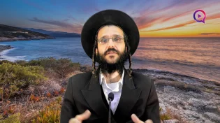 הרב שמואל זיידנברג | פרשת וישלח | לפעמים גם מעט זה טוב