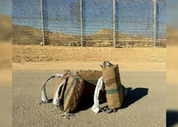 דיווח: הברחת סמים בשווי 3 מיליון ש"ח סוכלה בצה"ל 