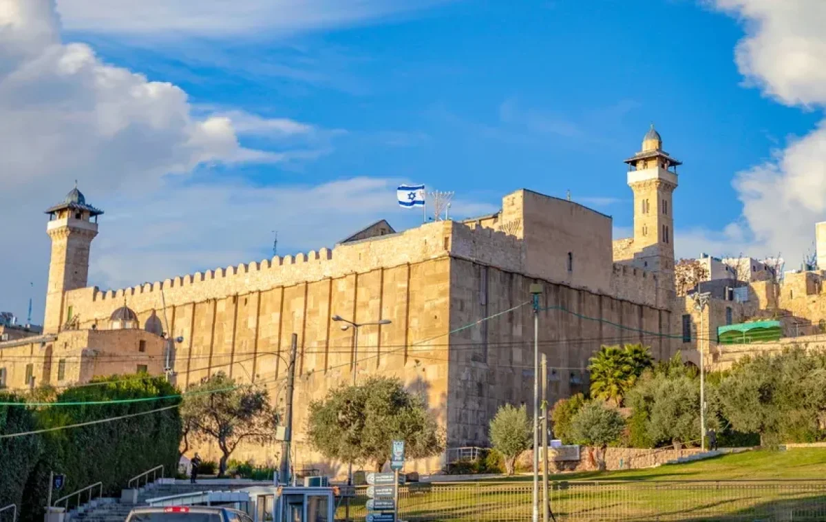 (צילום: MWPHOTOS55/shutterstock) (צילום: MWPHOTOS55/shutterstock)