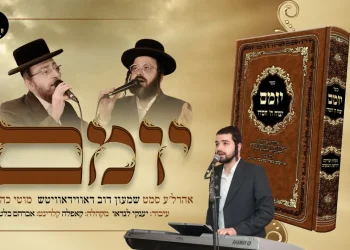 ארהל'ה סמט, שמעון דוב דאווידאוויטש ומוטי כהן - 'יומם'