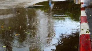 ללכת בין הטיפות: מאיפה הביטוי הזה הגיע?