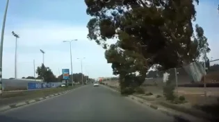 סיוט: עץ ענק ממדים קרס במהלך הנסיעה על הרכב