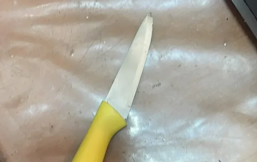 הסכין שהחזיקה הפלסטינית (צילום: דוברות המשטרה)