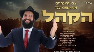 צבי גרינהיים - 'הקהל'