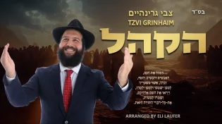 צבי גרינהיים - 'הקהל'