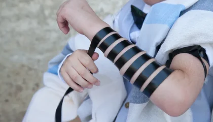 האם מברכים שהחיינו על תפילין חדשות?