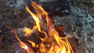 תיעוד חמור: האם שמאלנים שרפו את תמונתו של הרב דרוקמן זצ"ל?
