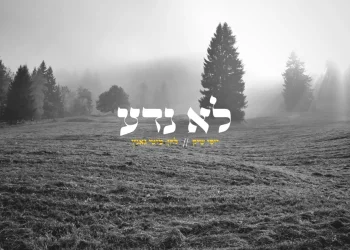 יוסי שיק - 'לא נדע'