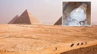 גילוי מרעיש במצרים: תנינים נמצאו בקברי המלכים