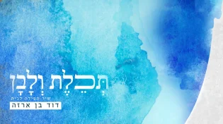 דוד בן ארזה - 'תכלת ולבן'