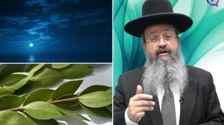 המקובל הרב בצרי חושף: "סבתא שלי חלמה על הדסים וזה מה שקרה"