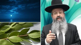המקובל הרב בצרי חושף: "סבתא שלי חלמה על הדסים וזה מה שקרה"