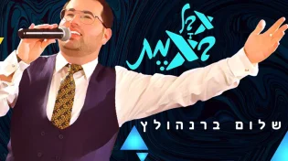 שלום ברנהולץ - "אבל באמת"