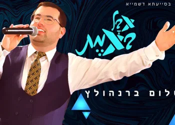 שלום ברנהולץ - "אבל באמת"