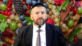 ט"ו בשבט בהלכה ובאגדה | הרב דוד שלום נקי