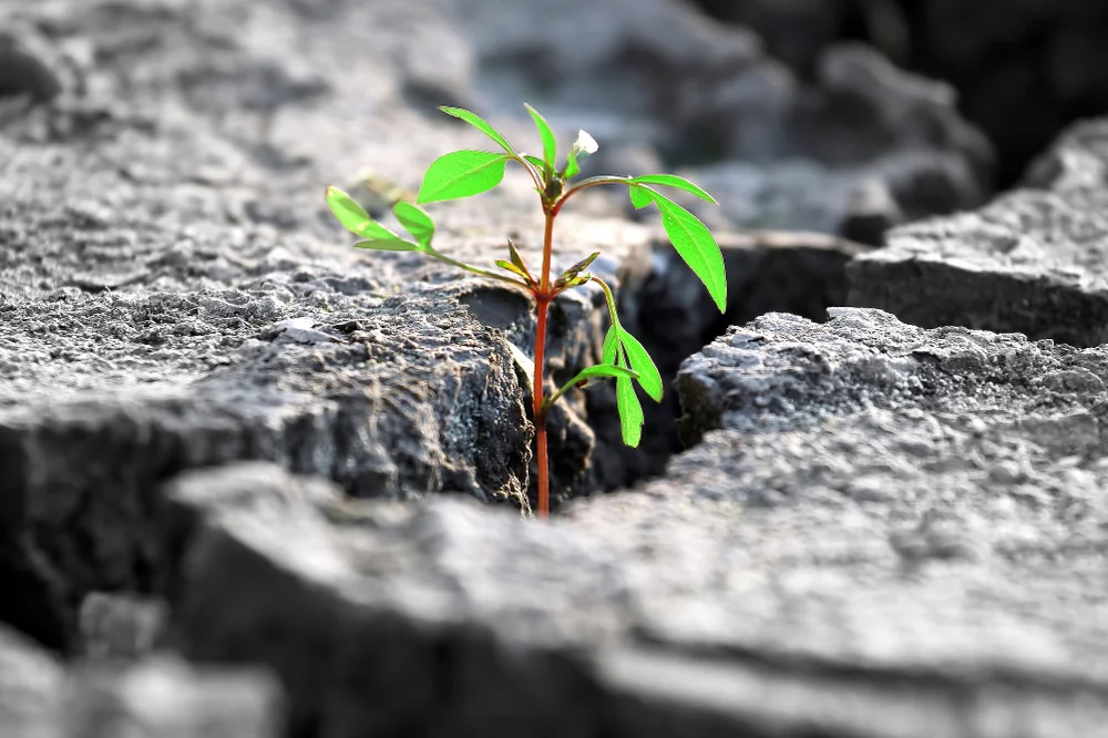 "מטה עוז בכל אדם": איזה מטה עוז יש בכל אדם? "מטה עוז בכל אדם": איזה מטה עוז יש בכל אדם?