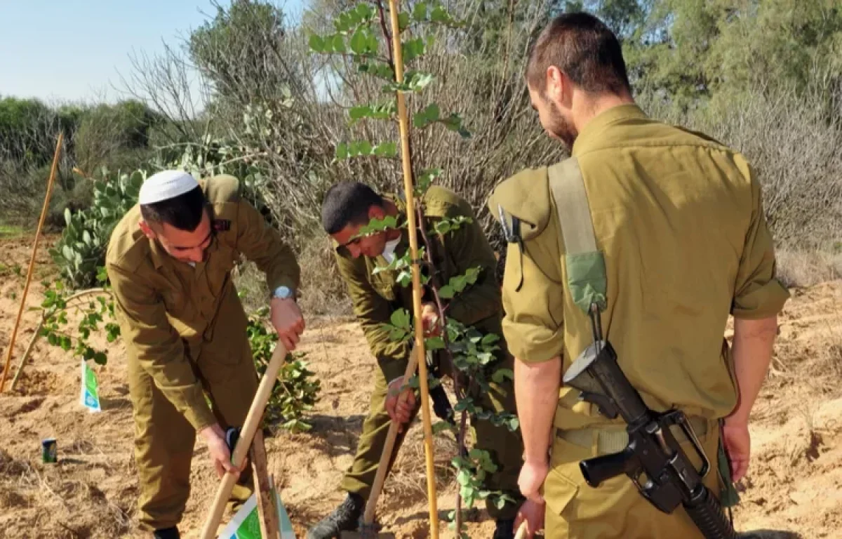 למה חוגגים את טו בשבט הסבר לילדים