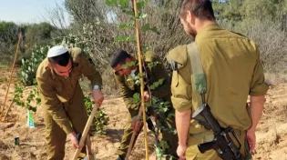 למה חוגגים את ט"ו בשבט?