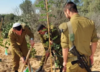 למה חוגגים את טו בשבט הסבר לילדים