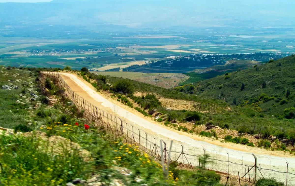 (צילום: David Dennis/shutterstock)