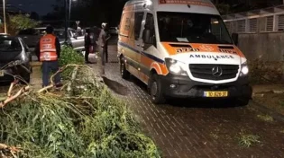 נזקי הסערה: ילד חרדי נפצע קשה מעץ שקרס