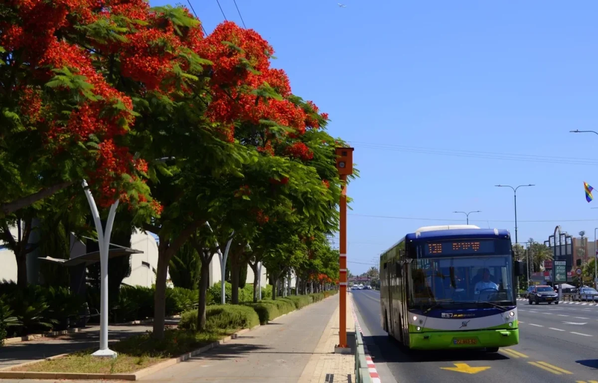 המחירון המעודכן: אלו ההוזלות החדשות בתחבורה הציבורית 