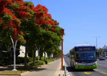 המחירון המעודכן: אלו ההוזלות החדשות בתחבורה הציבורית 