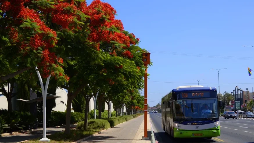 המחירון המעודכן: אלו ההוזלות החדשות בתחבורה הציבורית 