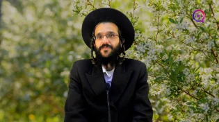 הרב שמואל זיידנברג | כשהאפיפיור מתגייר