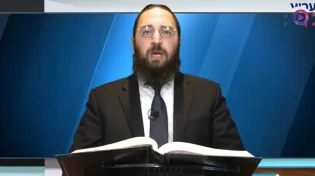 דף יומי: הדף היומי לצפייה - נזיר ז' - ח' שבט
