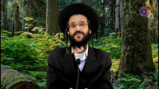 הרב שמואל זיידנברג | איך מנצחים כזאת מלחמה