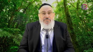 הרב ציון כהן | פרשת משפטים ראשית קיום התורה הוא בין אדם לחבר