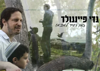 גדי פיינגולד – 'זמן'