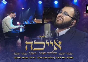 שלוימי מאיר - 'אייכה'