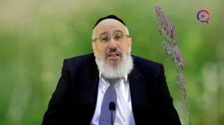 הרב ציון כהן | פרשת השבוע | פרשת תרומה