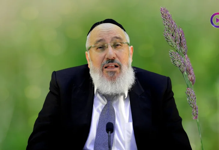 הרב ציון כהן | פרשת השבוע | פרשת תרומה