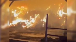 נזק של מיליונים: החווה של הח"כ עלתה בלהבות