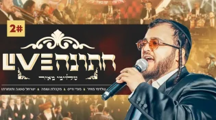 שלוימי מאיר - "חתונה לייב #2"