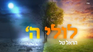 הראל טל - 'לולי השם'