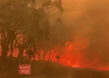 תיעוד מאוסטרליה: שריפות ענק גרמו להרחבת החור באוזון