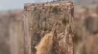 תיעוד מדהים: השיטפונות הנדירים בסעודיה