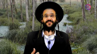 הרב שמואל זיידנברג | עצור! ההמתנה היא מתנה