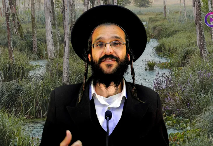 הרב שמואל זיידנברג | עצור! ההמתנה היא מתנה
