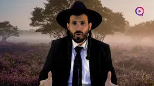 הרב יקיר בוטה | פרשת ויקהל פקודי